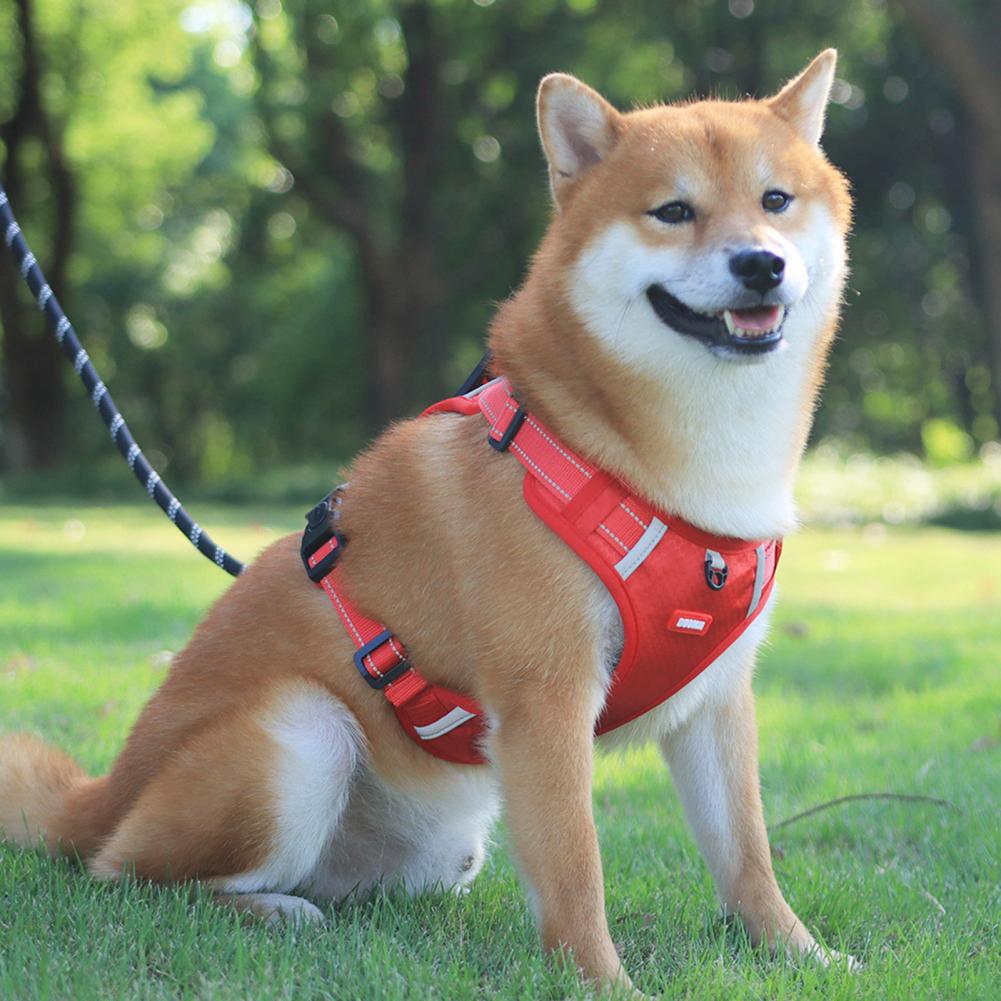 Nylon Dog Harness No Pull