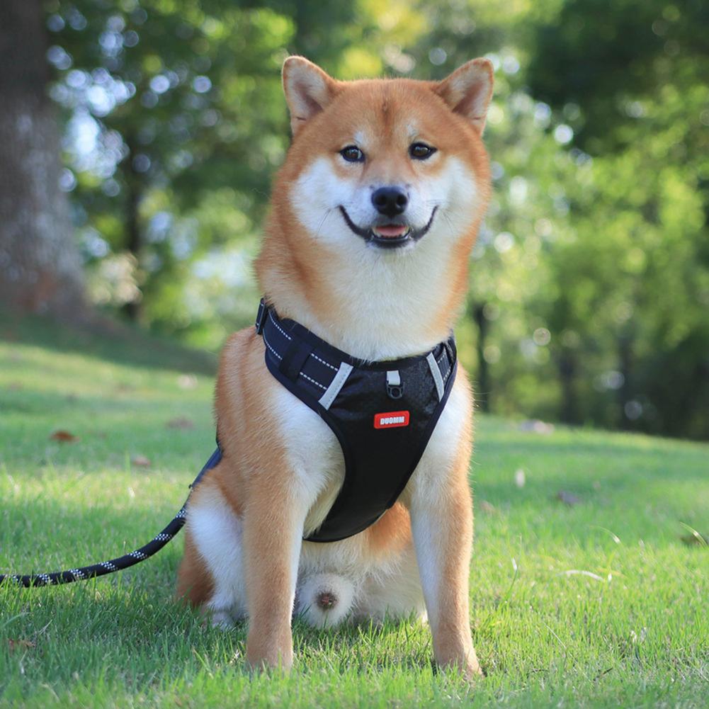 Nylon Dog Harness No Pull